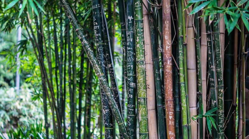 Bamboo Home Decor