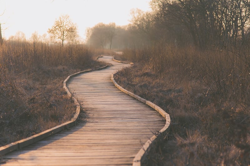 Rock Pathway